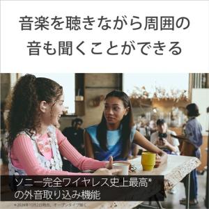 ソニー ワイヤレス イヤホン 左右分離 ノイズ...の詳細画像4