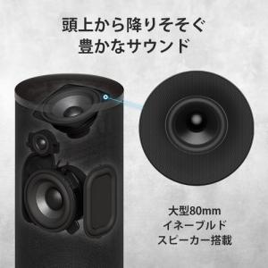 ソニー SA-RS9 ホームシアターシステム ...の詳細画像4