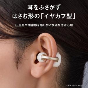 パナソニック RB-C10-K 完全ワイヤレス...の詳細画像1