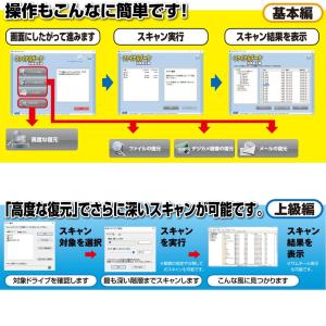 AOSデータ ファイナルデータ11plus 特...の詳細画像3