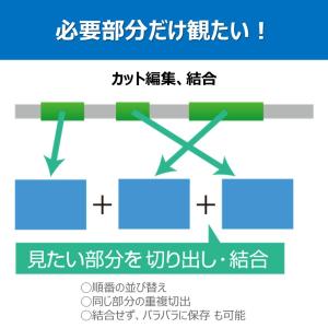 gemsoft Video MONSTER -...の詳細画像2