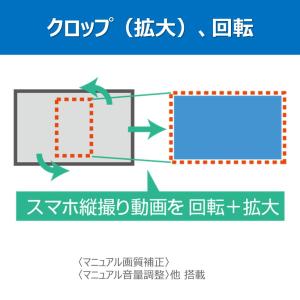 gemsoft Video MONSTER -...の詳細画像3