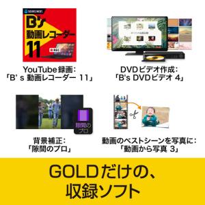 ソースネクスト B’s Recorder GOLDの詳細画像5