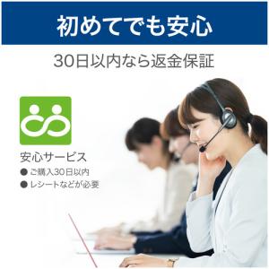ソースネクスト ZERO ウイルスセキュリティ 1台の詳細画像4
