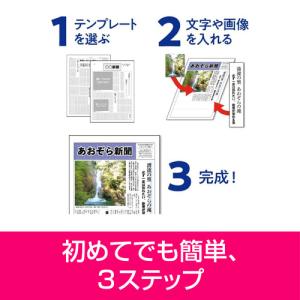 ソースネクスト パーソナル編集長 Ver.16...の詳細画像4