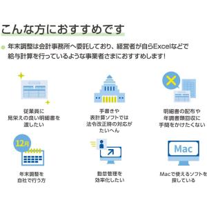 弥生 弥生給与 Next ベーシックライトプラ...の詳細画像1
