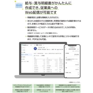 弥生 弥生給与 Next ベーシックライトプラ...の詳細画像3