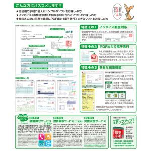 BSLシステム研究所 かるがるできる販売26 ...の詳細画像1