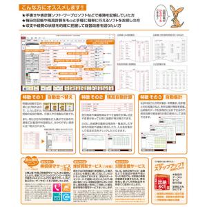BSLシステム研究所 かるがるできる出納26 ...の詳細画像1