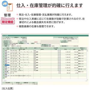 弥生 HWAV0001 弥生販売 26 プロフ...の詳細画像3