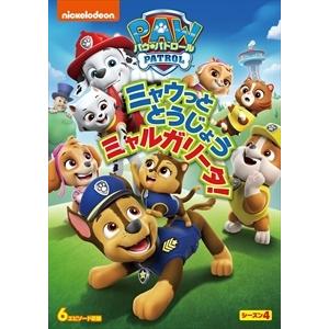 【DVD】パウ・パトロール シーズン4 ミャウっととうじょう ミャルガリータ!｜yamada-denki