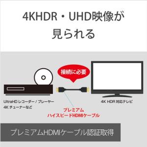 ソニー DLC-HX10XF Premium ...の詳細画像3