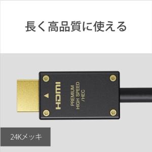 ソニー DLC-HX10XF Premium ...の詳細画像5
