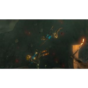 ゼルダの伝説 ティアーズ オブ ザ キングダム...の詳細画像2