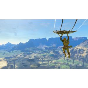 ゼルダの伝説 ティアーズ オブ ザ キングダム...の詳細画像3
