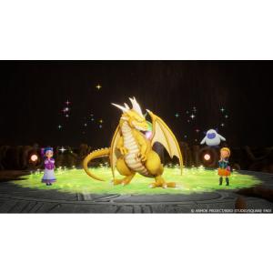 ドラゴンクエストモンスターズ4 枯れ木の国のビ...の詳細画像4