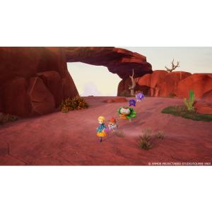 ドラゴンクエストモンスターズ4 枯れ木の国のビ...の詳細画像5