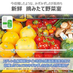 【無料長期保証】東芝 冷蔵庫 551L 観音開...の詳細画像3