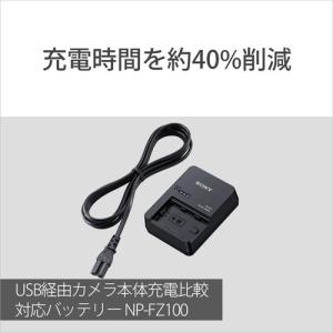 ソニー BC-QZ1 バッテリーチャージャーの詳細画像1