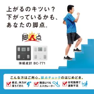 タニタ BC771 体組成計 ダークグレーの詳細画像3
