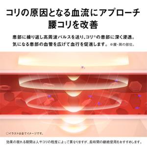【期間限定ギフトプレゼント】パナソニック EW...の詳細画像2
