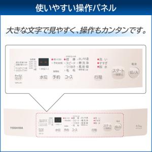 東芝 全自動洗濯機 洗濯:4.5kg 簡易乾燥...の詳細画像3