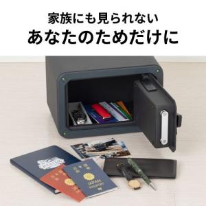 セントリー JV1-20FP 据置型金庫 テン...の詳細画像4