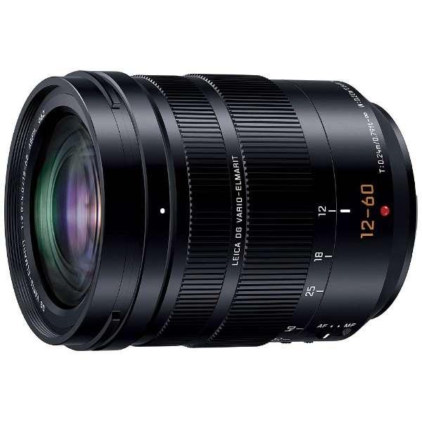 パナソニック H-ES12060 交換用レンズ LEICA DG VARIO-ELMARIT 12-...