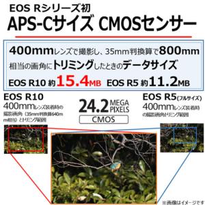 キヤノン ミラーレスカメラ EOS R10 1...の詳細画像2