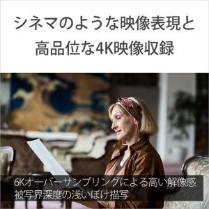 ソニー ILME-FX30B プロフェッショナ...の詳細画像4