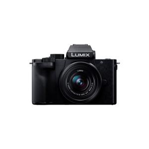 【推奨品】パナソニック DC-G100DK-K デジタル一眼カメラ 標準ズームレンズキット LUMIX G100D ブラック｜yamada-denki