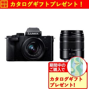 【推奨品】パナソニック DC-G100DW-K デジタル一眼カメラ 標準ズームレンズ＋望遠ズームレンズキット LUMIX G100D ブラック｜yamada-denki