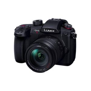 パナソニック DC-GH5M2H LUMIX GH5 II ミラーレス一眼カメラ 10倍ズームレンズキット｜yamada-denki