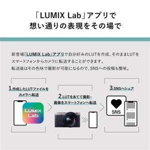 パナソニック DC-S9N-N デジタル一眼カ...の詳細画像4