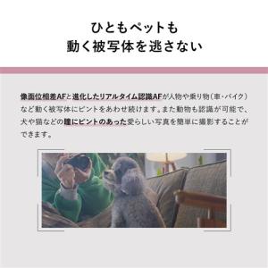 パナソニック DC-S9N-N デジタル一眼カ...の詳細画像5