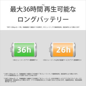 ソニー NW-A306 B ウォークマン ハイ...の詳細画像5