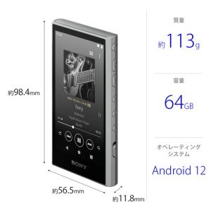 ソニー NW-A307 H ウォークマン ハイ...の詳細画像1