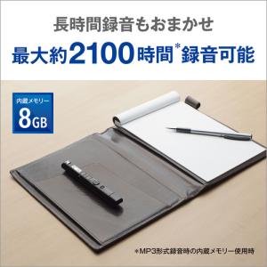 OM SYSTEM VP-20 BLK ICレ...の詳細画像4