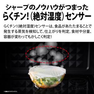 シャープ RE-TS174 単機能レンジ 17...の詳細画像2