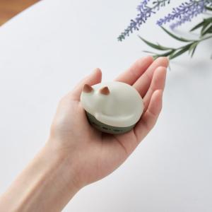 ラディウス HP-C28BTK 完全ワイヤレス...の詳細画像3