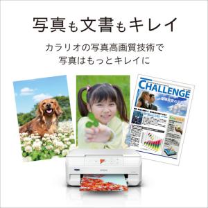 EPSON EP-717A A4カラーインクジ...の詳細画像1