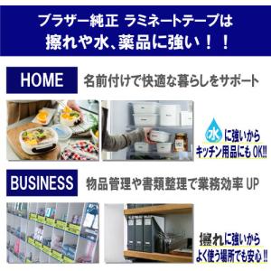 ブラザー TZe-251 ラベルライターピータ...の詳細画像3