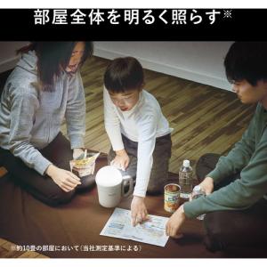 パナソニック BF-BL45M-W 多機能強力...の詳細画像2