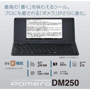 キングジム DM250タ- デジタルメモ「ポメ...の詳細画像1