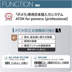 キングジム DM250タ- デジタルメモ「ポメ...の詳細画像3