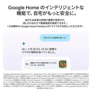 Google GA09963-JP セキュリテ...の詳細画像2