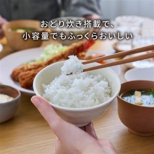 パナソニック SR-C306E-K 可変圧力I...の詳細画像2