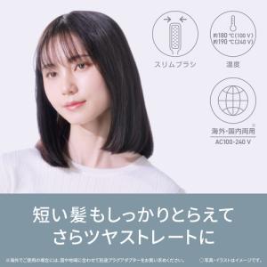 パナソニック EH-HS21-K ブラシストレ...の詳細画像1