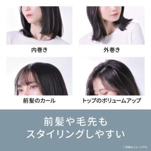 パナソニック EH-HS21-K ブラシストレ...の詳細画像5