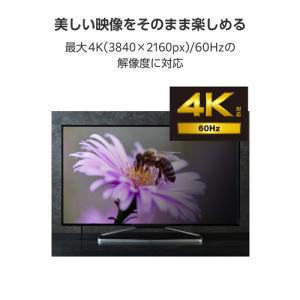エレコム AD-CHDMIPD100SV 変換...の詳細画像3